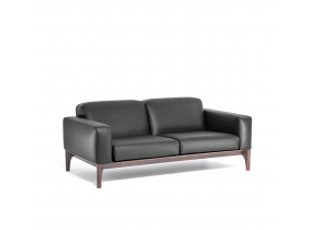 FIOTTO Диван 2-х местный_FIOTTO 2 Dakota black Dollaro black tobacco